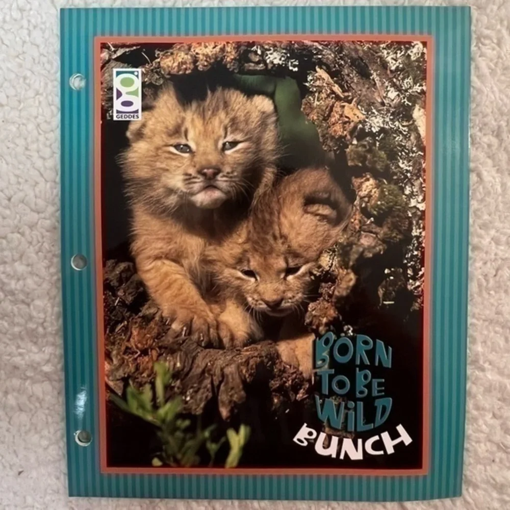 Born To Be Wild Bunch 2-Pocket Portfolio Folders - Pack of 3